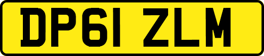 DP61ZLM