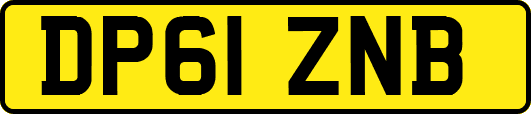 DP61ZNB