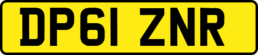 DP61ZNR