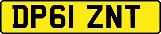 DP61ZNT