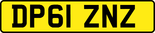 DP61ZNZ