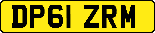 DP61ZRM