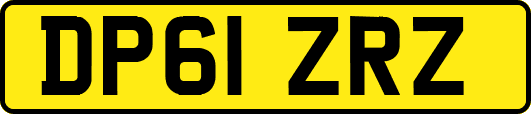 DP61ZRZ