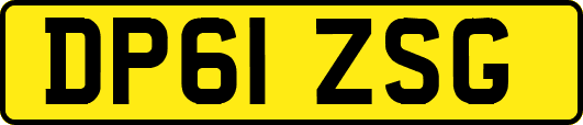 DP61ZSG