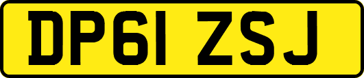 DP61ZSJ