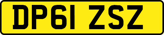 DP61ZSZ