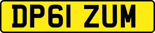 DP61ZUM