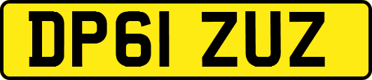 DP61ZUZ