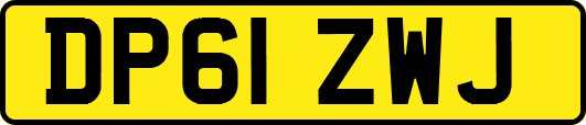 DP61ZWJ