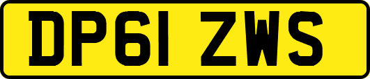 DP61ZWS