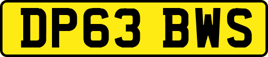 DP63BWS
