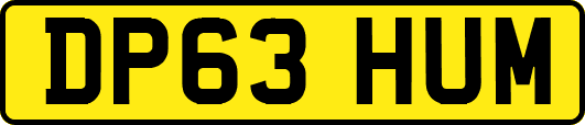 DP63HUM