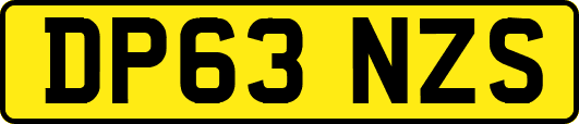 DP63NZS