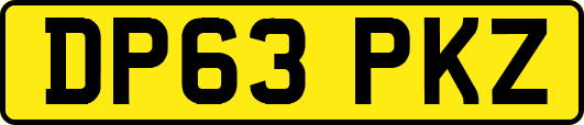 DP63PKZ