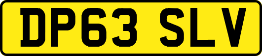 DP63SLV