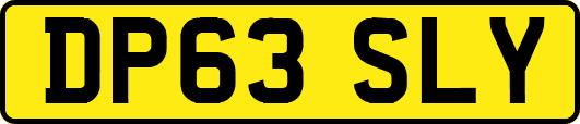 DP63SLY