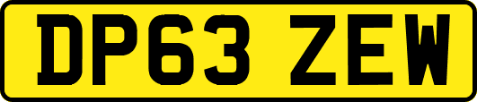 DP63ZEW