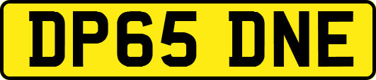 DP65DNE
