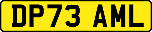 DP73AML