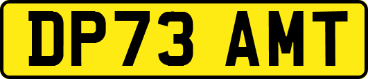 DP73AMT