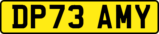 DP73AMY