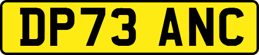 DP73ANC