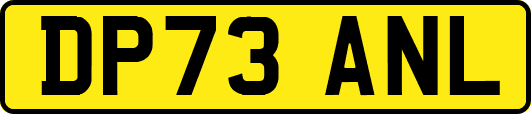 DP73ANL