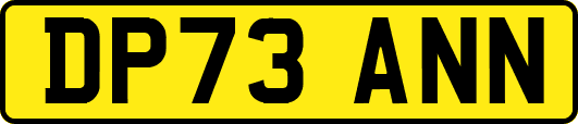 DP73ANN