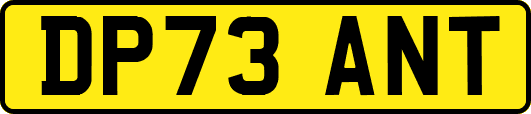 DP73ANT