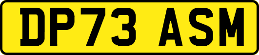 DP73ASM