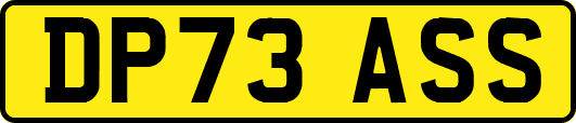 DP73ASS