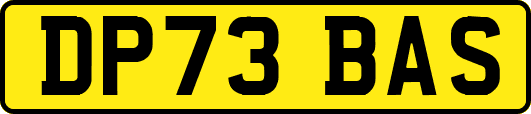 DP73BAS
