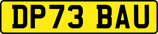 DP73BAU