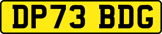 DP73BDG