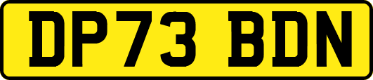 DP73BDN