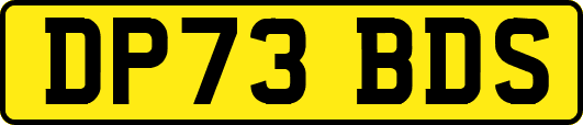 DP73BDS