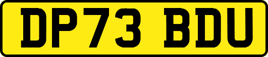 DP73BDU