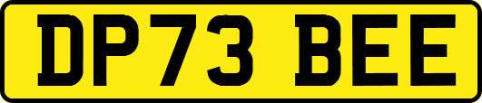 DP73BEE