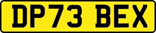 DP73BEX