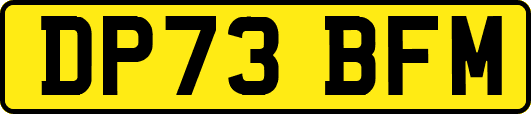 DP73BFM