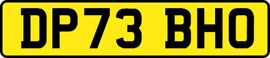 DP73BHO