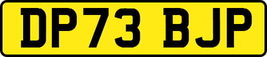 DP73BJP