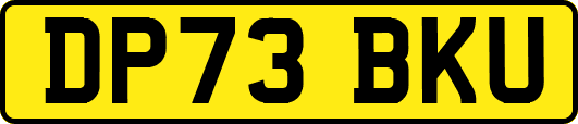 DP73BKU