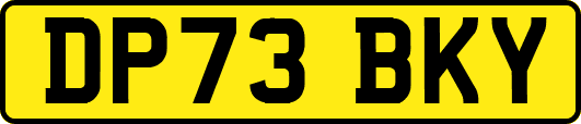 DP73BKY