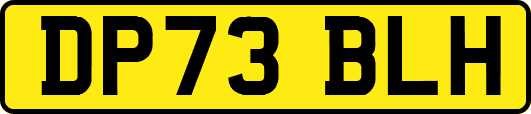 DP73BLH