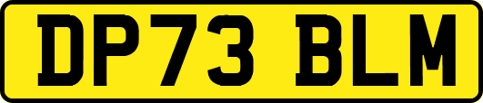 DP73BLM