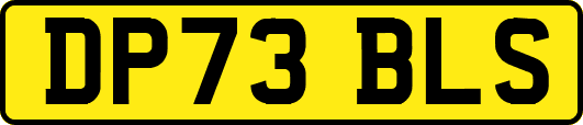 DP73BLS