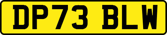 DP73BLW
