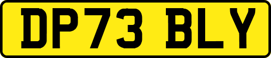 DP73BLY