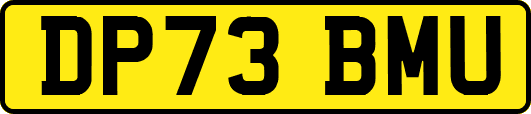 DP73BMU